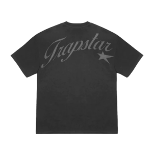 latest-ts-allstars-2-0-t-shirt-grey-1